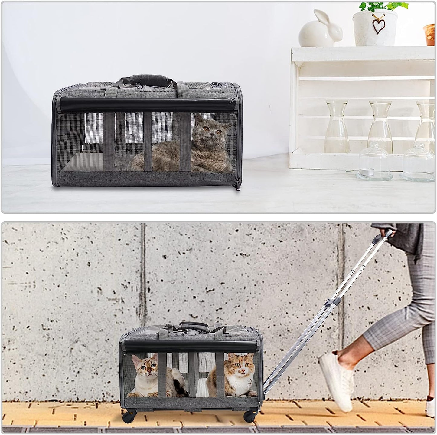 Cat Rolling Carrier For 2 Cats