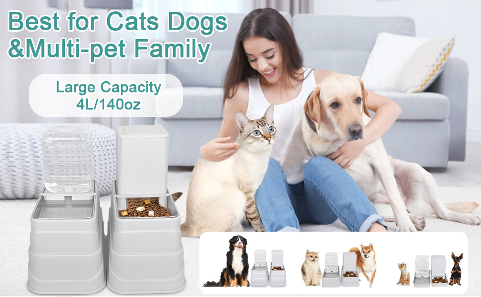 Cat Feeder and Water Dispenser Set