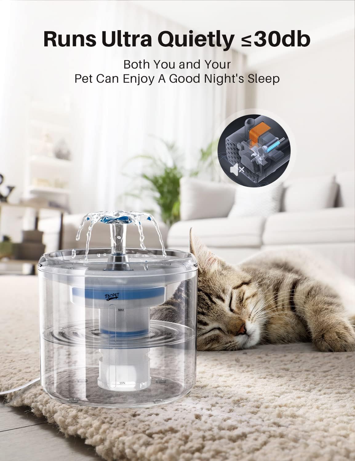 Large Pet Water Fountain
